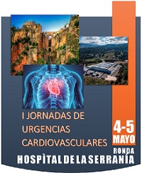 I Jornadas CV Ronda