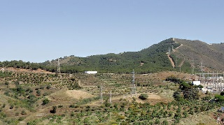 nhcerrcal