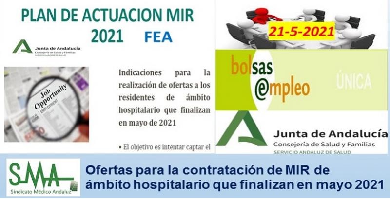 PAMIR2021FEA