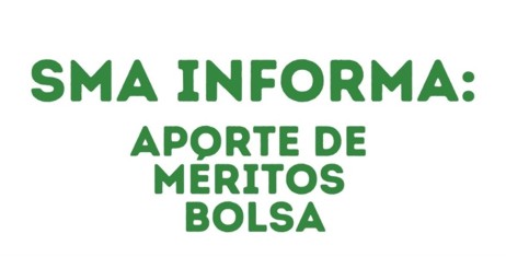Problemas de acceso a la web Bolsa del S.A.S.
