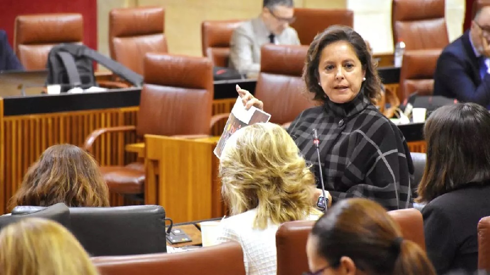 La parálisis del servicio jurídico sanitario de Andalucía deja en el aire 800 millones reservados a contratos con la privada