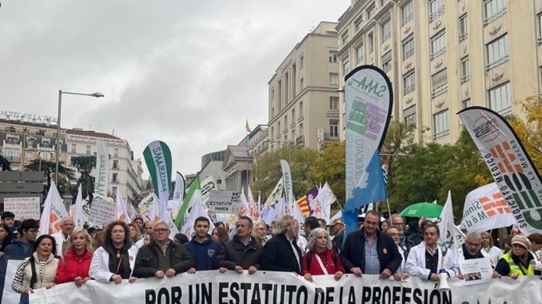 Movilizaciones convocadas contra el borrador de Estatuto Marco